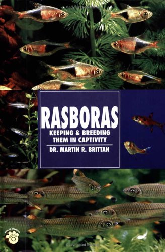 Rasboras: Keeping & Breeding Them in Captivity: Keeping and Breeding Them in Capitivity Pets