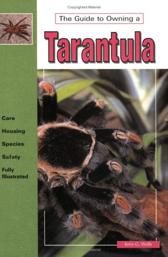 The Guide to Owning a Tarantula Pets