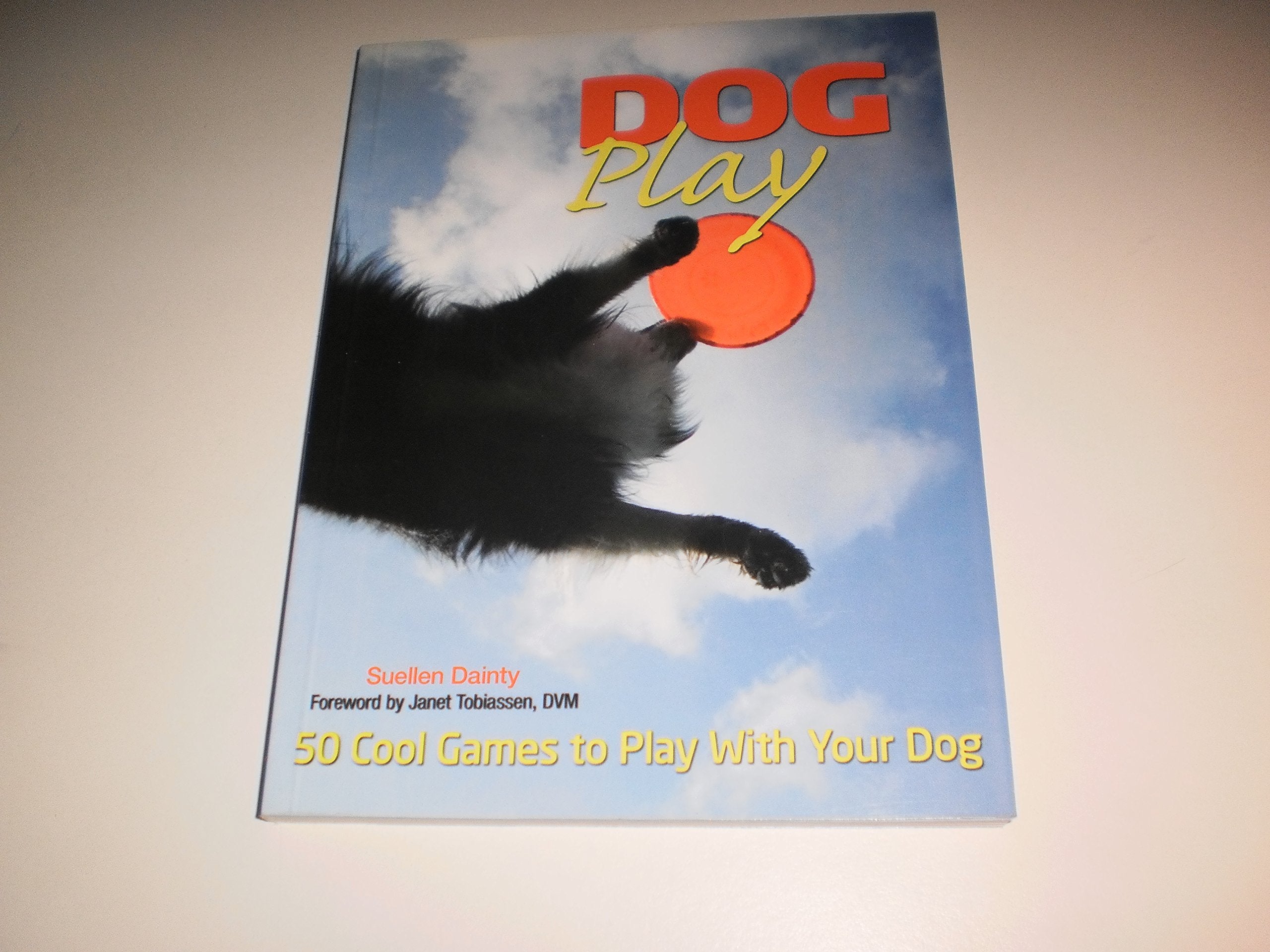 50 Games to Play with Your Dog Pets