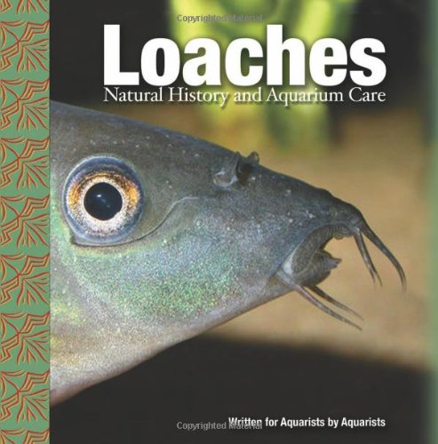 Loaches: Natural History and Aquarium Care Pets