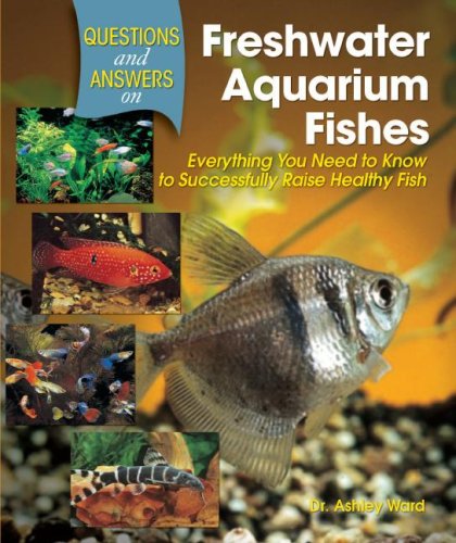 Questions and Answers on Freshwater Aquarium Fishes Pets