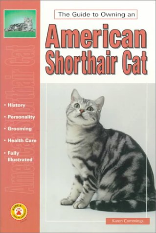 The Guide to Owning an American Shorthair Cat Pets