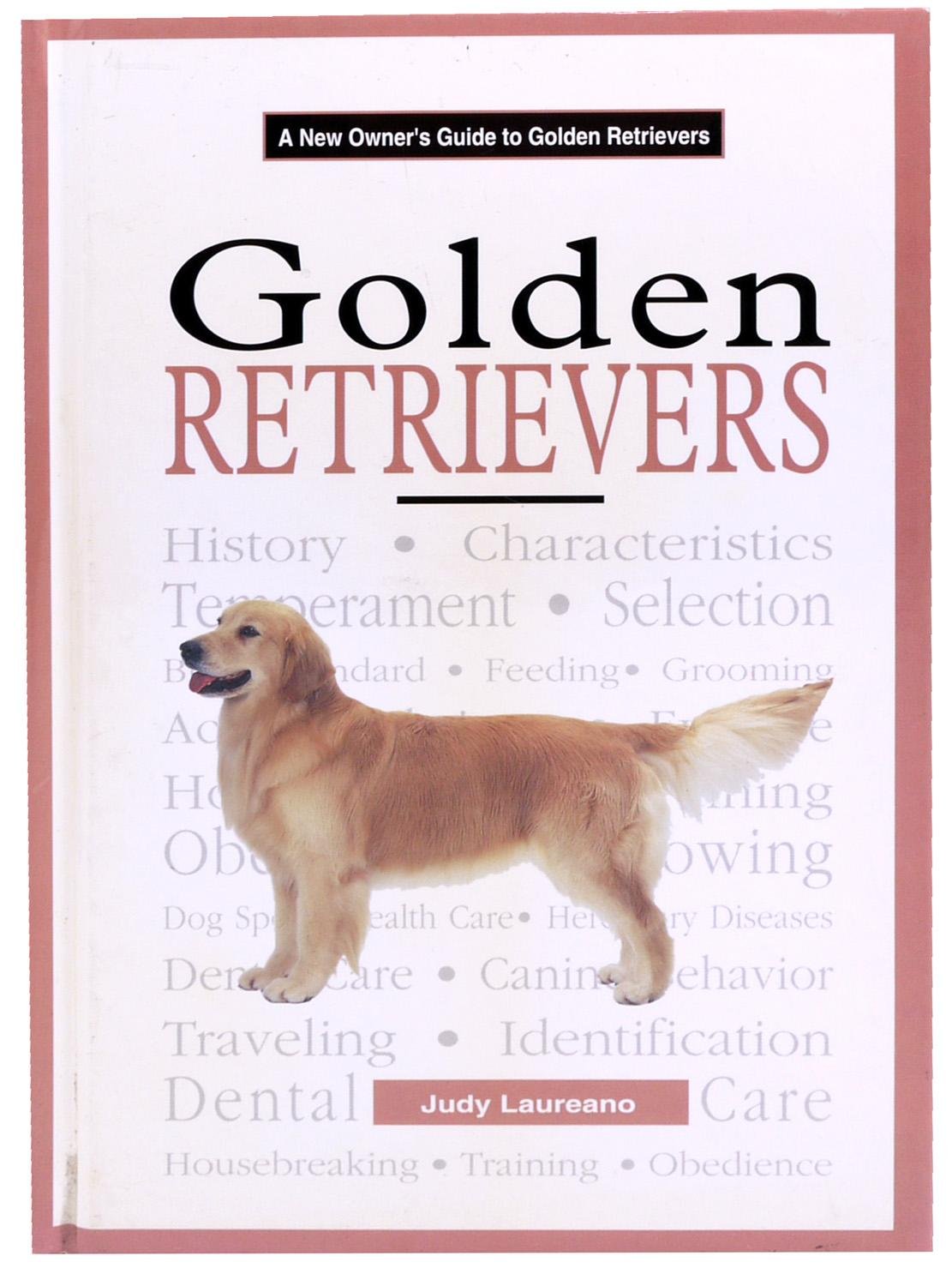 A New Owner's Guide to Golden Retrievers Pets
