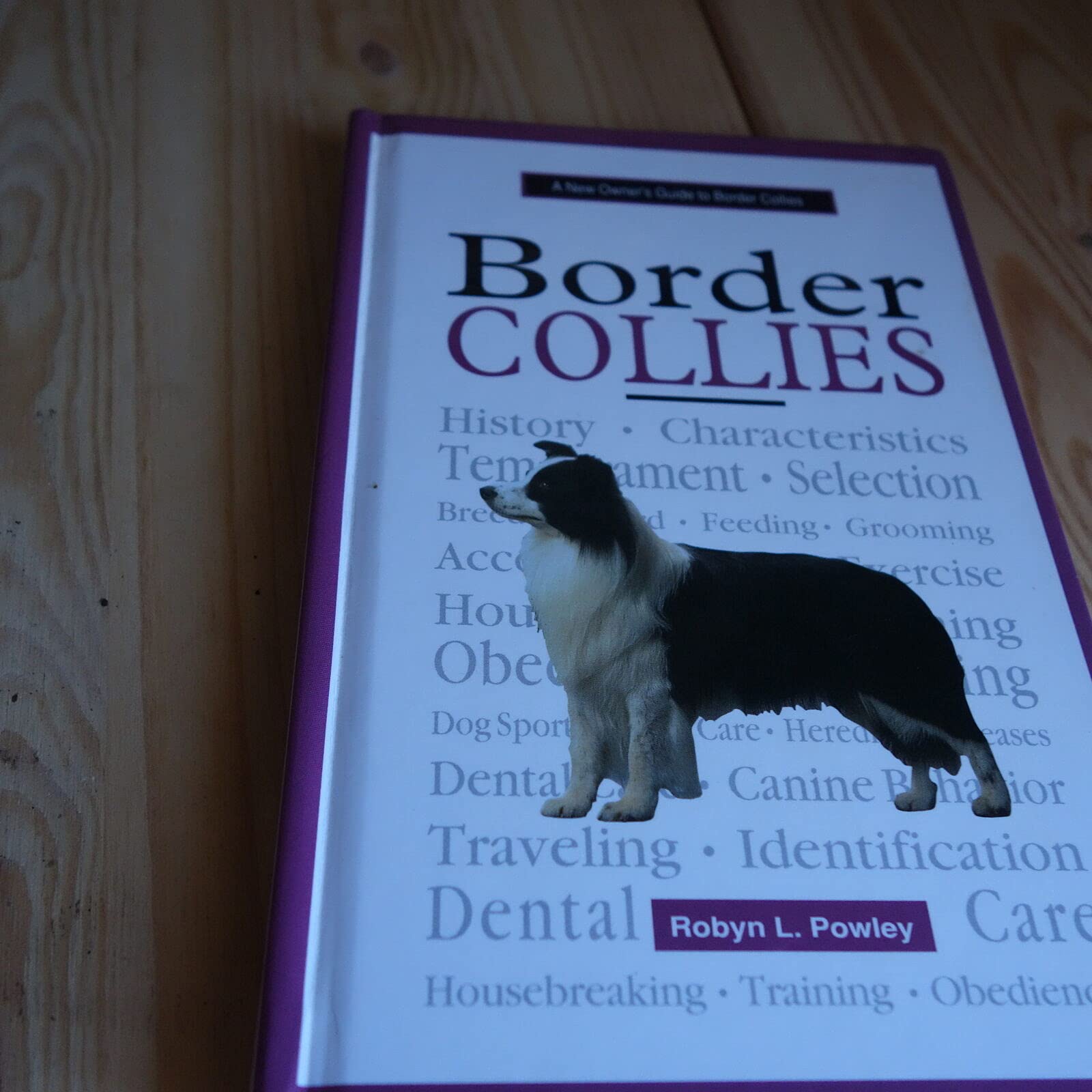 A New Owner's Guide to Border Collies book