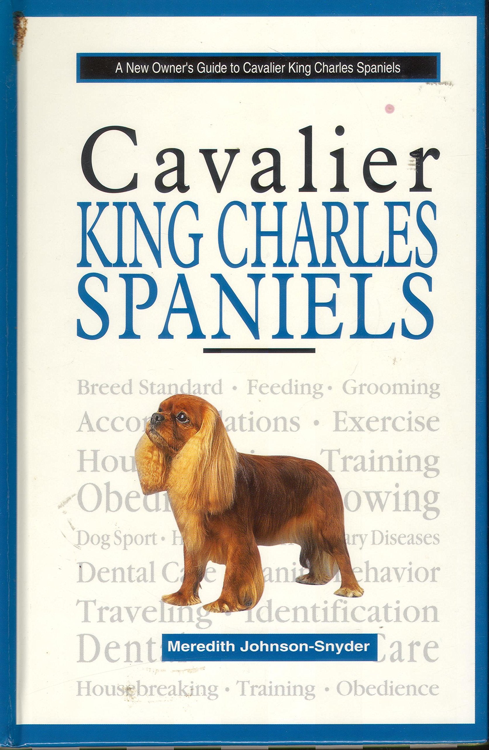 A New Owners Guide to Cavalier King Charles Spaniels Pets