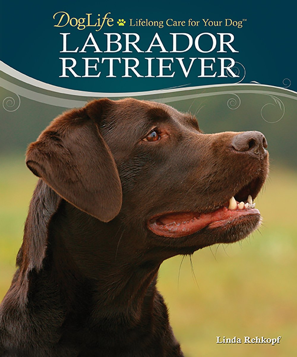 Labrador Retriever: Doglife: Lifelong Care for Your Dog Pets