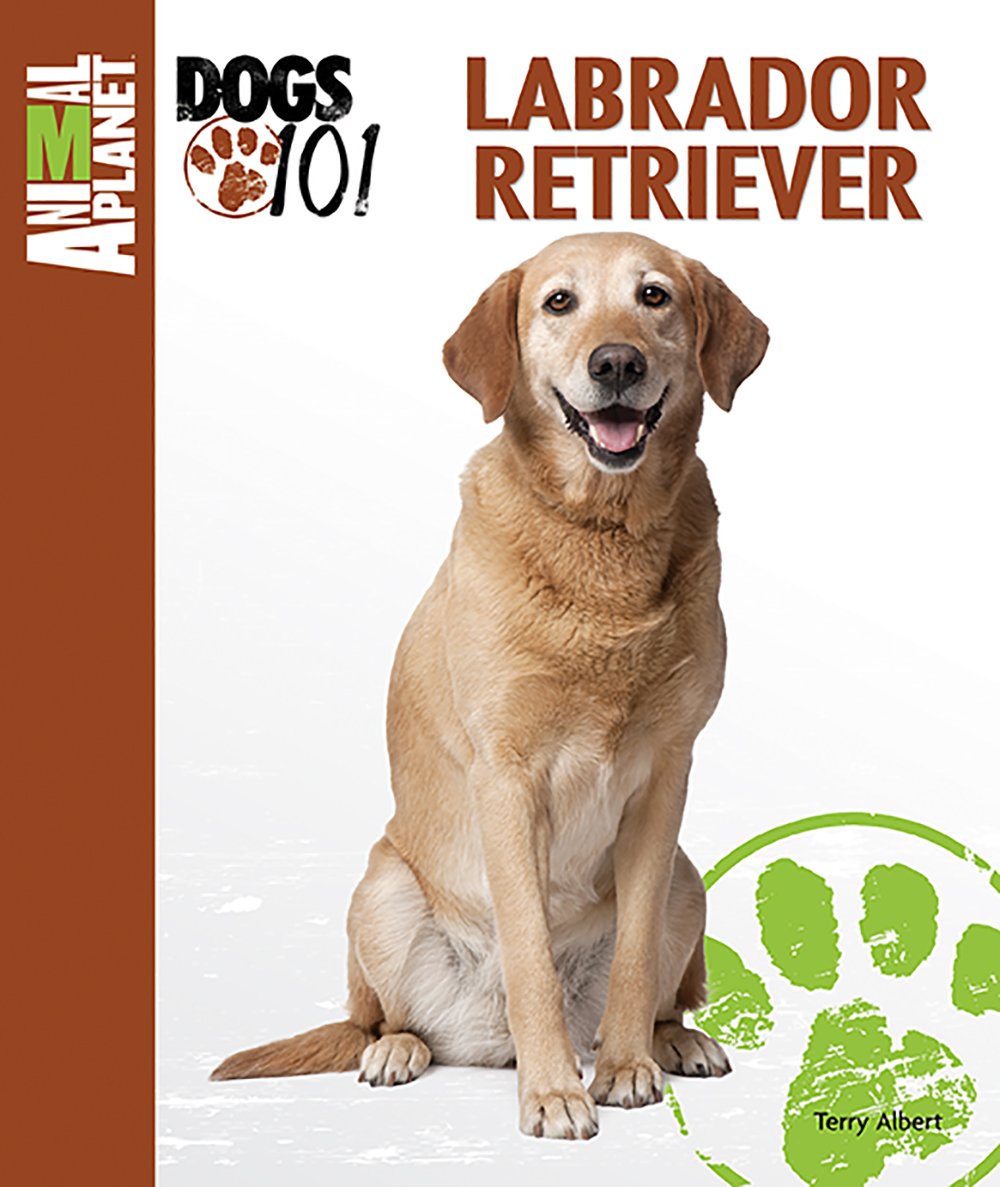 Labrador Retriever (Animal Planet Dogs 101) Pets