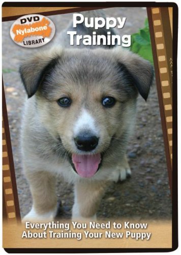 Puppy Training: Everything You Need to Know About Training Your New Puppy Films