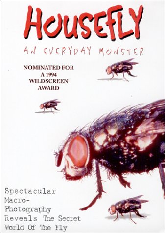 Housefly-An Everyday Monster Films