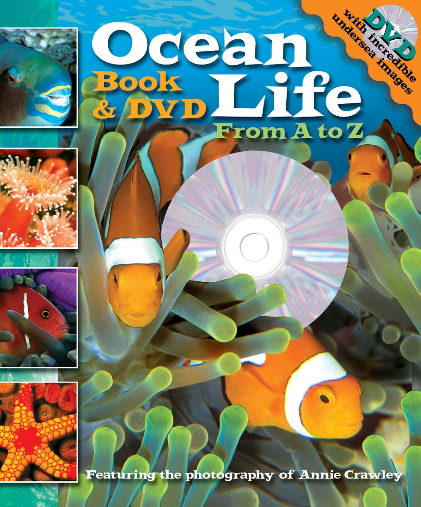 Ocean Life From A to Z Book and DVD: Anemone to Zebra Fish (Readers Book & DVD) Non-fiction