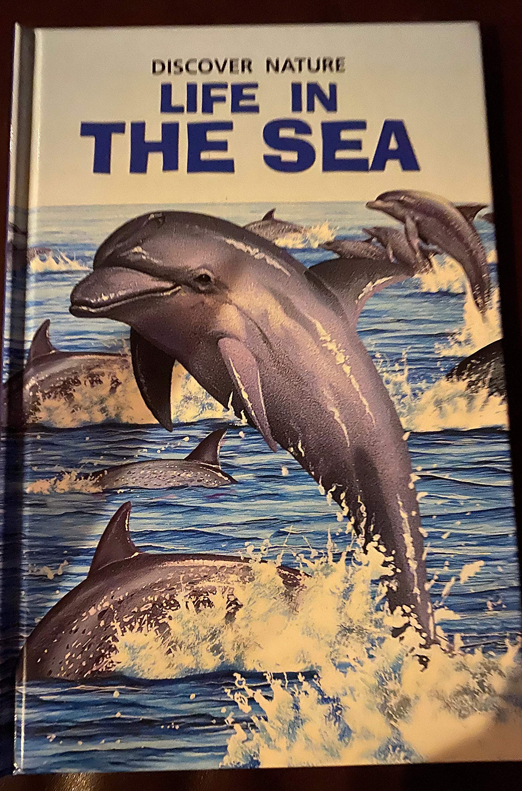 Discover Nature: Life in the Seas Books