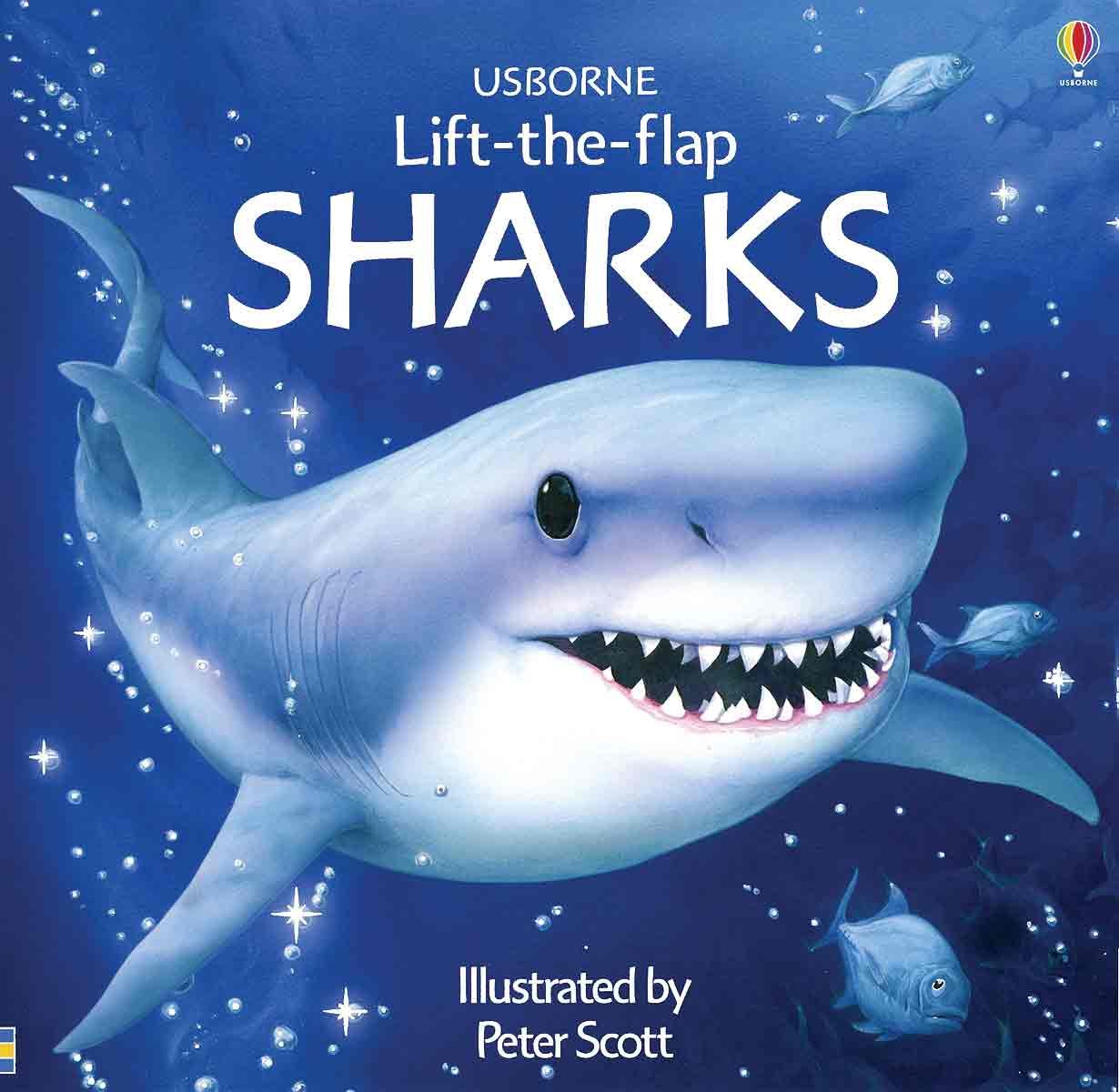 Sharks Lift-the-flap (Usborne Lift-The-Flap) Non-fiction