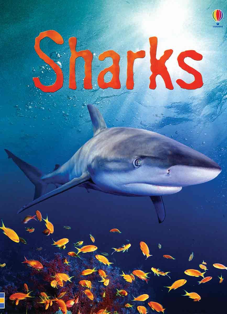 Sharks (Usborne Beginners) Novels & Short Stories for children