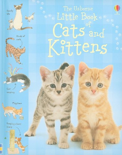 The Usborne Little Book of Cats and Kittens book