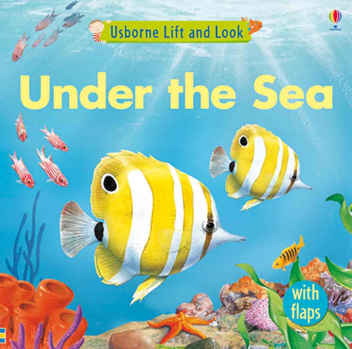 Under the Sea (Usborne Lift and Look Board Books) Non-fiction