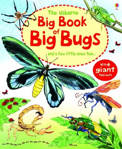 The Usborne Big Book of Big Bugs: And a Few Little Ones Too... Non-fiction