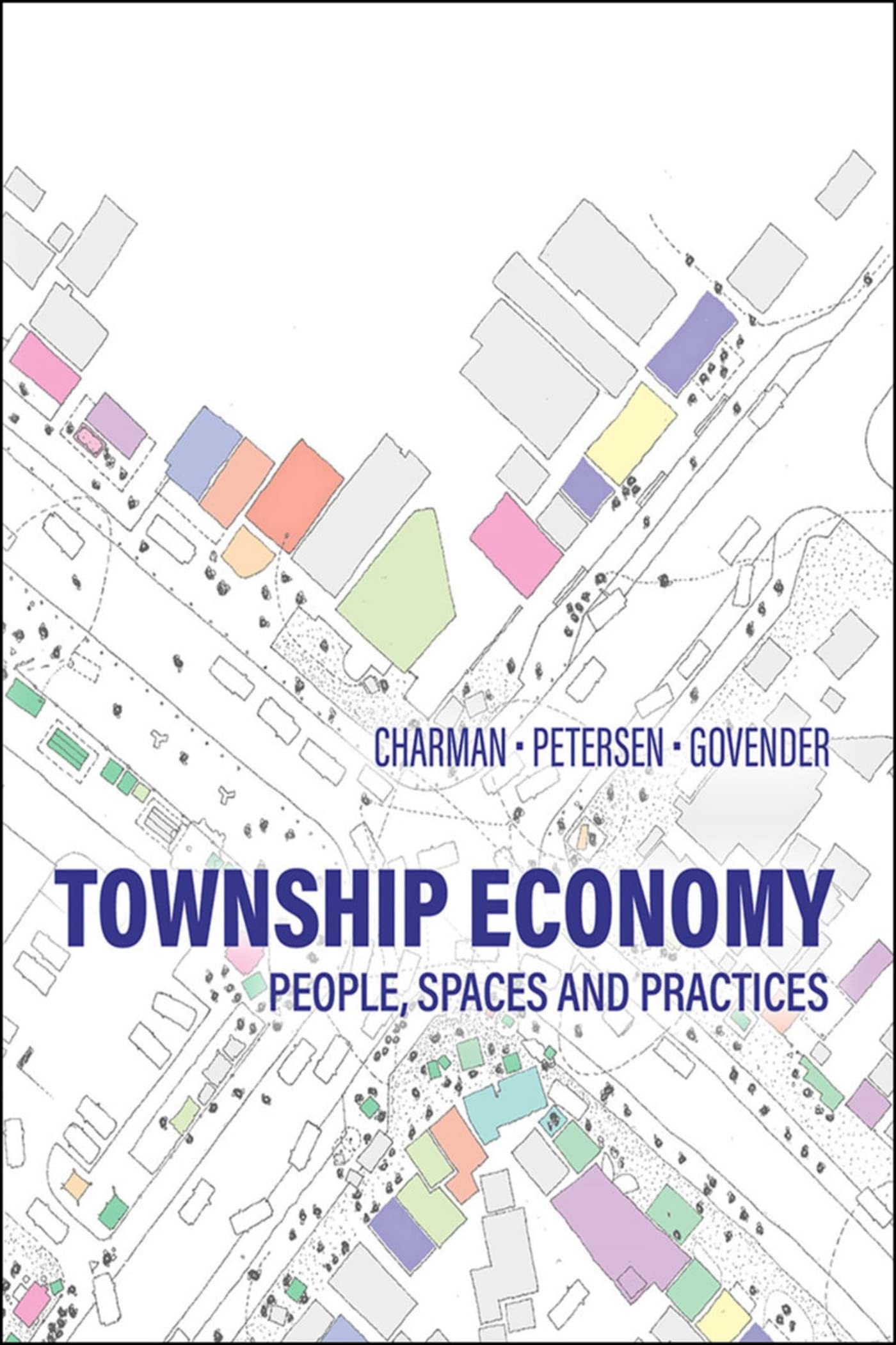 Township Economy: People, Spaces, and Practices Social Sciences
