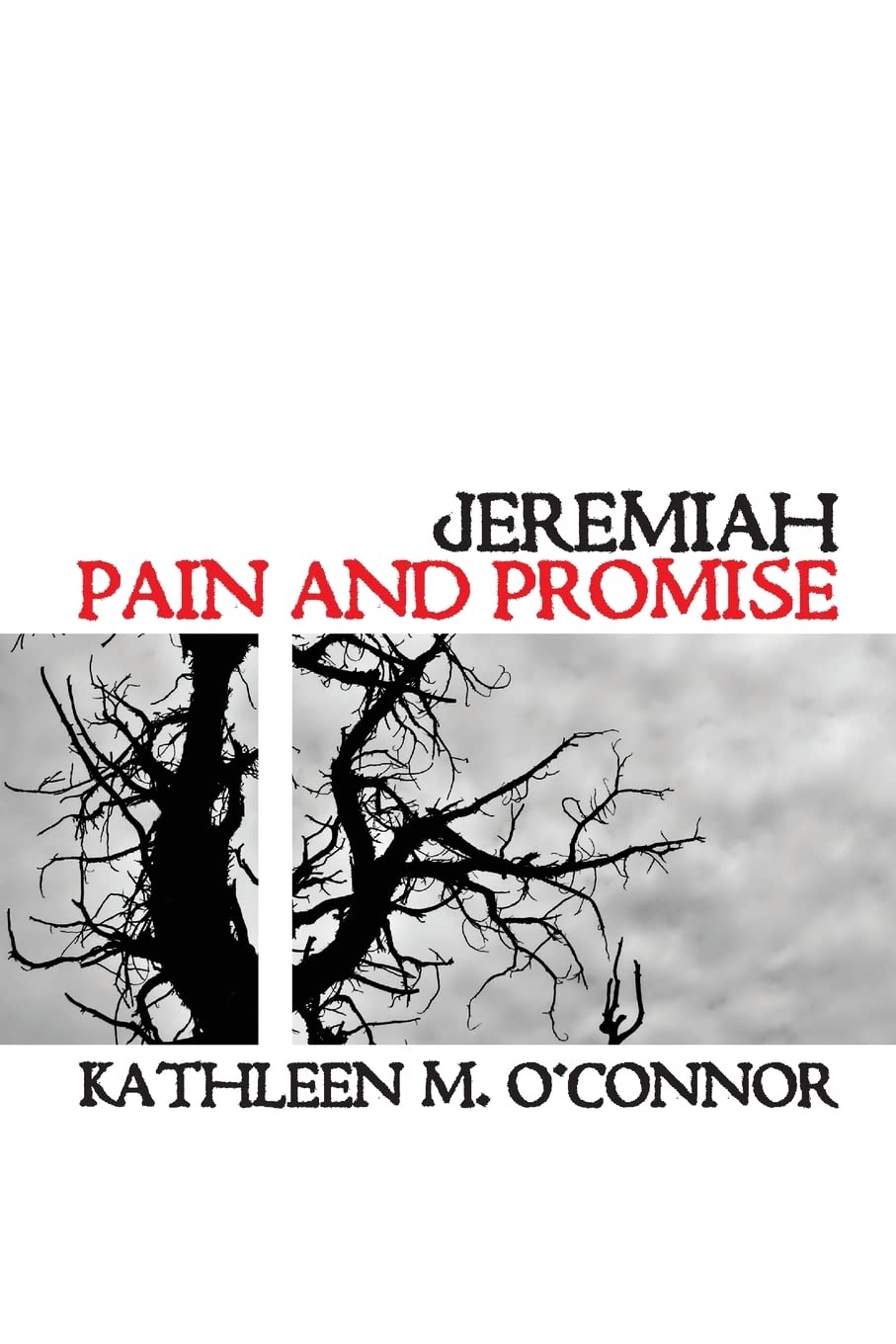 Jeremiah: Pain and Promise book