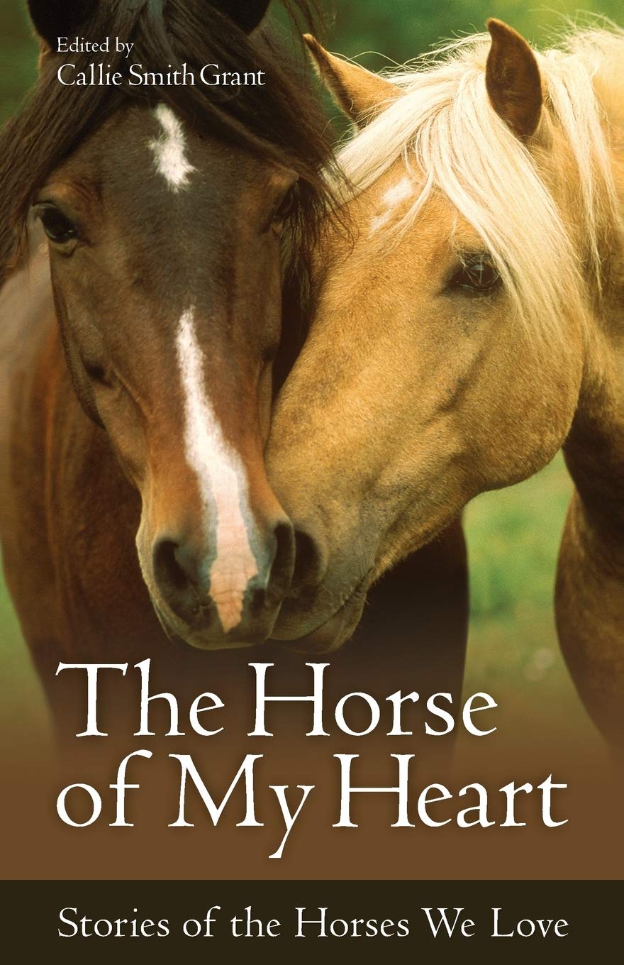 The Horse of My Heart: Stories of the Horses We Love Mathematics