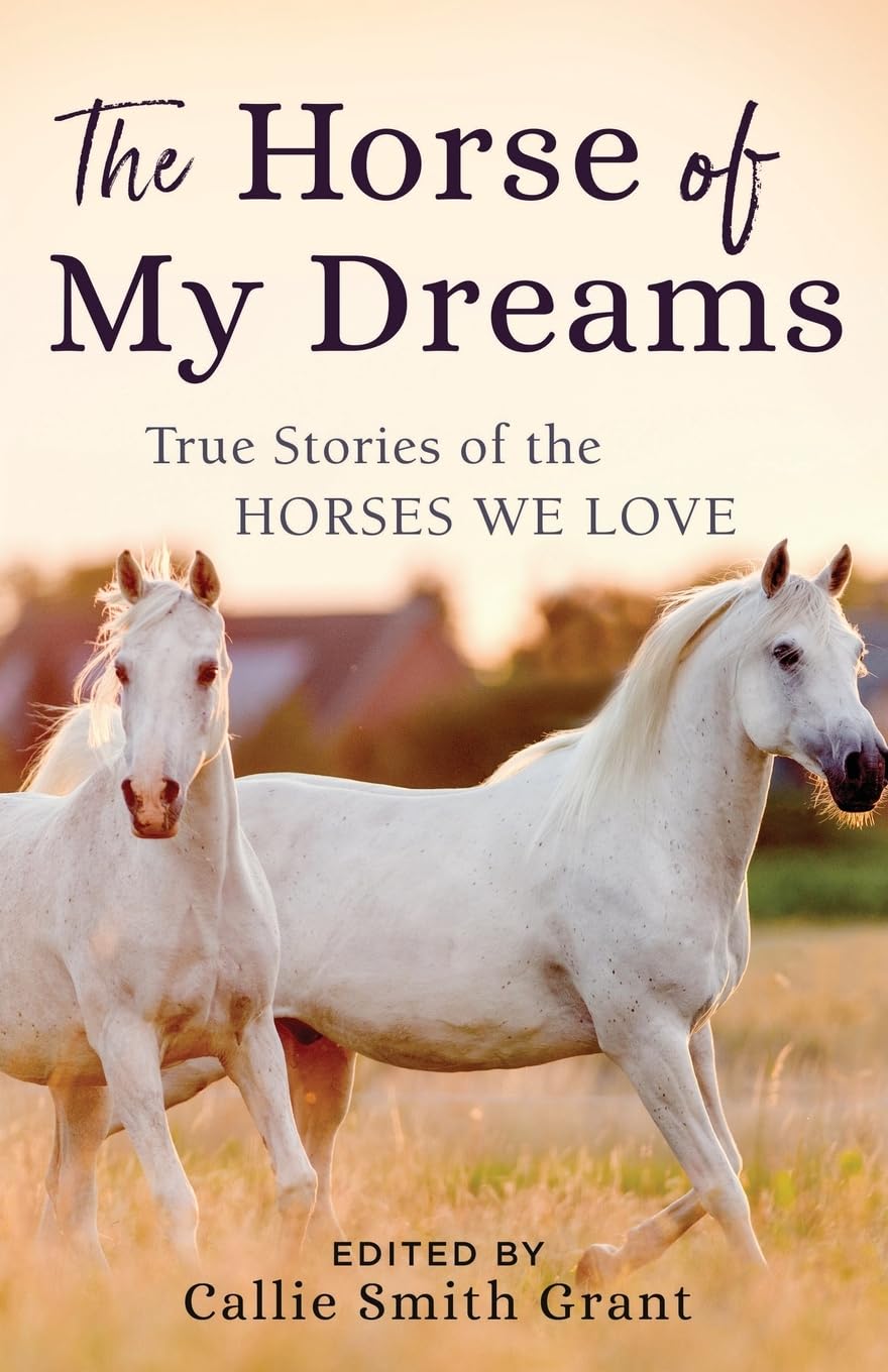 Horse of My Dreams: True Stories of the Horses We Love Mathematics