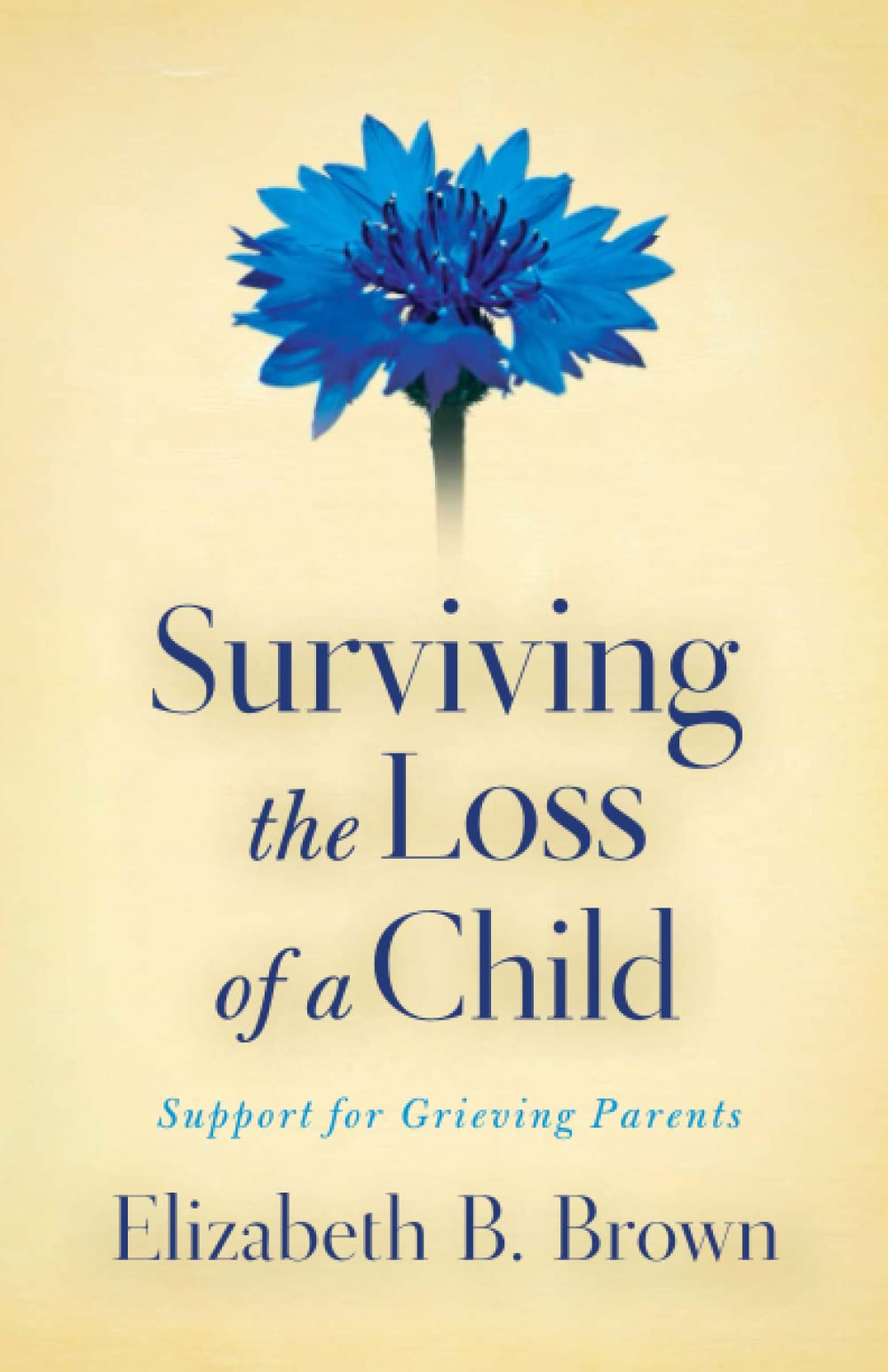 Surviving the Loss of a Child: Support for Grieving Parents Business, Finance & Career