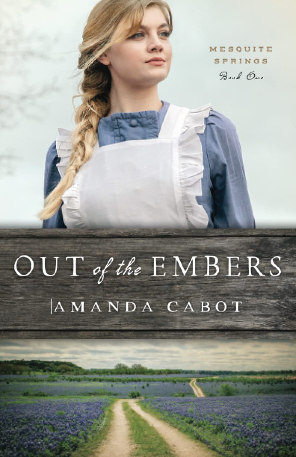 Out of the Embers (Mesquite Springs, 1, Band 1) Religion & Esotericism