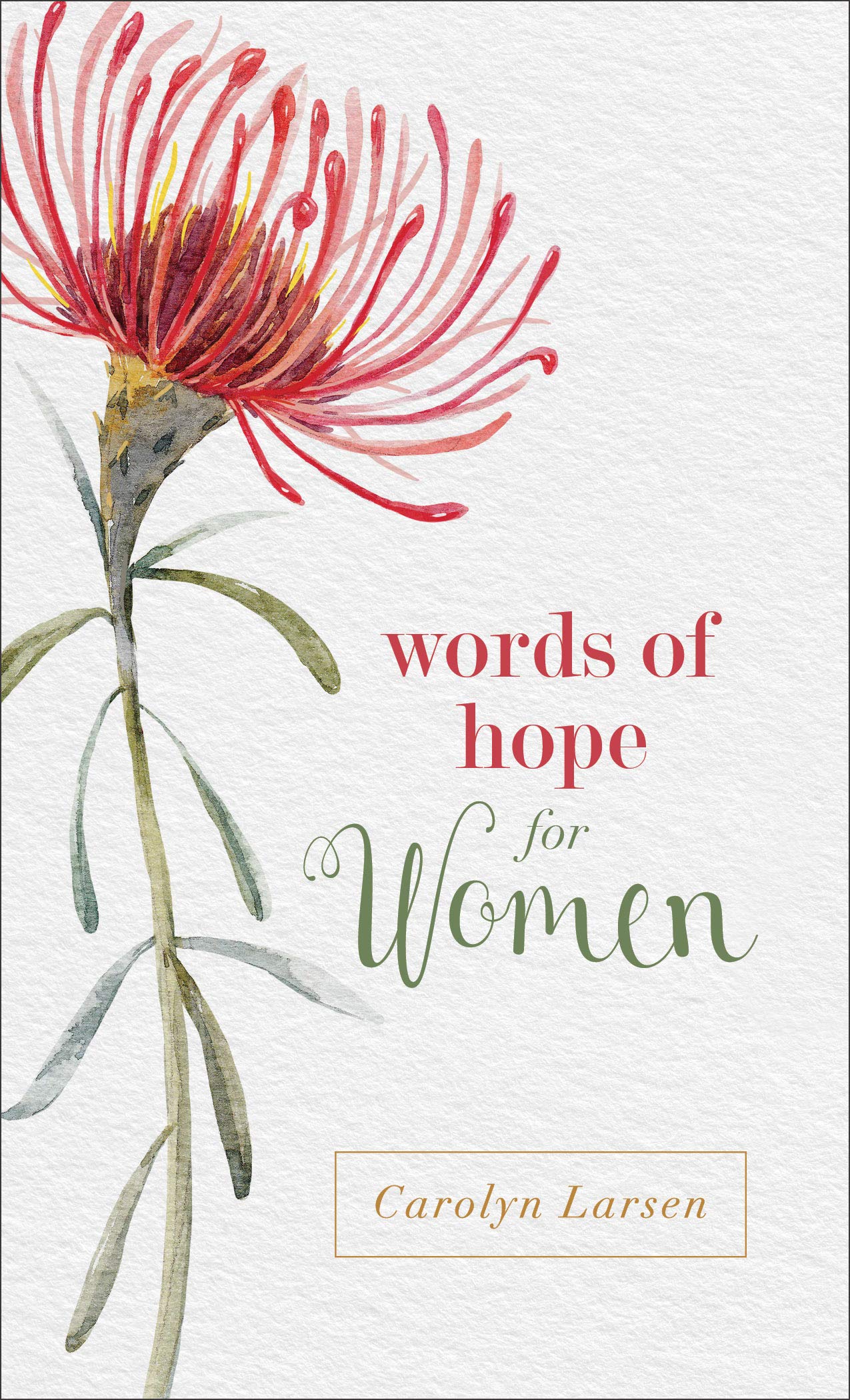 Words of Hope for Women Social Sciences