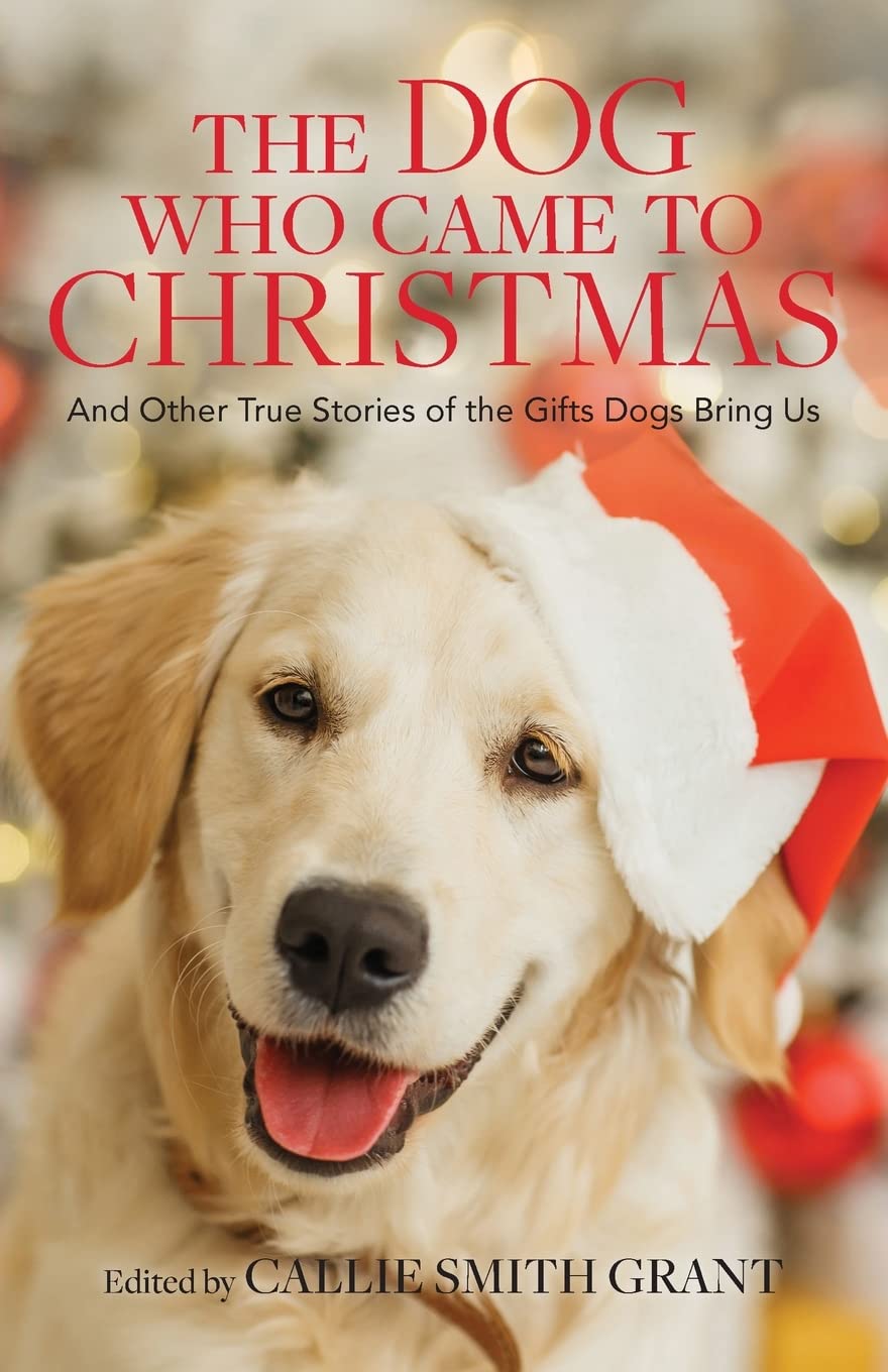 Dog Who Came to Christmas: And Other True Stories of the Gifts Dogs Bring Us Pets