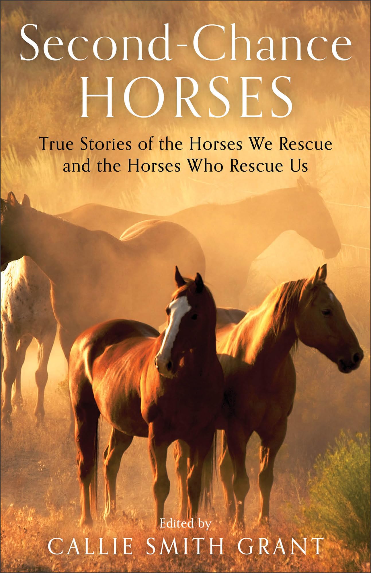 Second-Chance Horses: True Stories of the Horses We Rescue and the Horses Who Rescue Us Mathematics