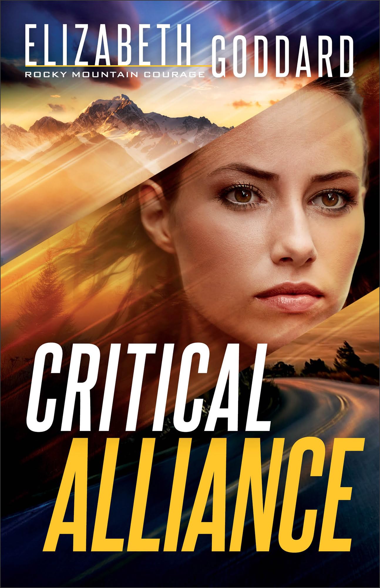 Critical Alliance: Christological and Trinitarian Rules for Exegesis (Rocky Mountain Courage, 3, Band 3) Religion & Esotericism