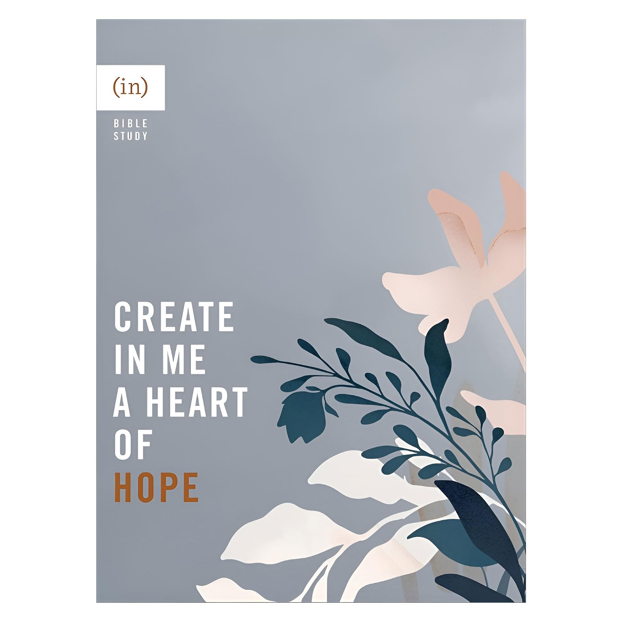 Create in Me a Heart of Hope ((In)courage Bible Study) Religion & Esotericism