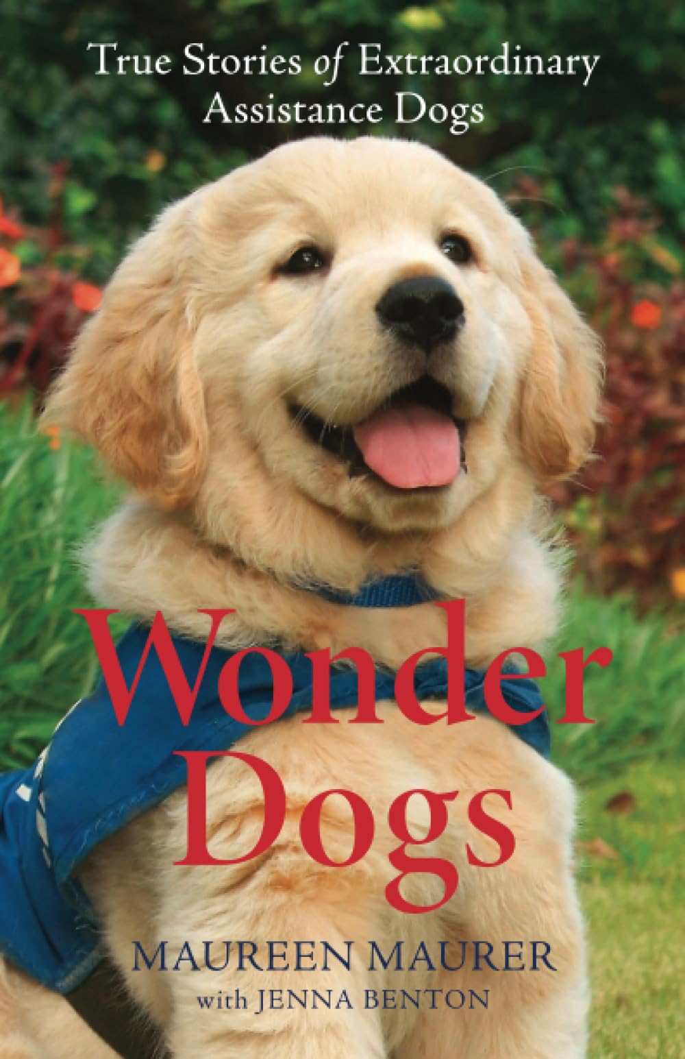 Wonder Dogs: True Stories of Extraordinary Assistance Dogs Social Sciences