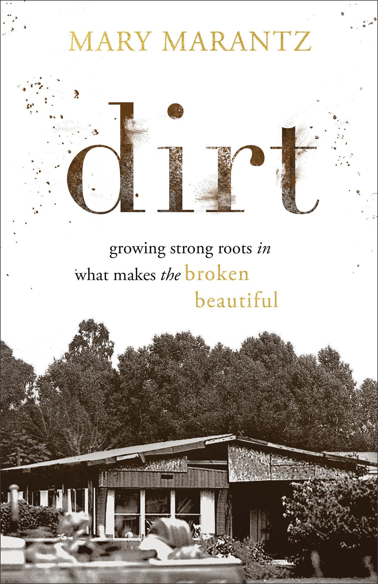 Dirt: Growing Strong Roots in What Makes the Broken Beautiful Memories