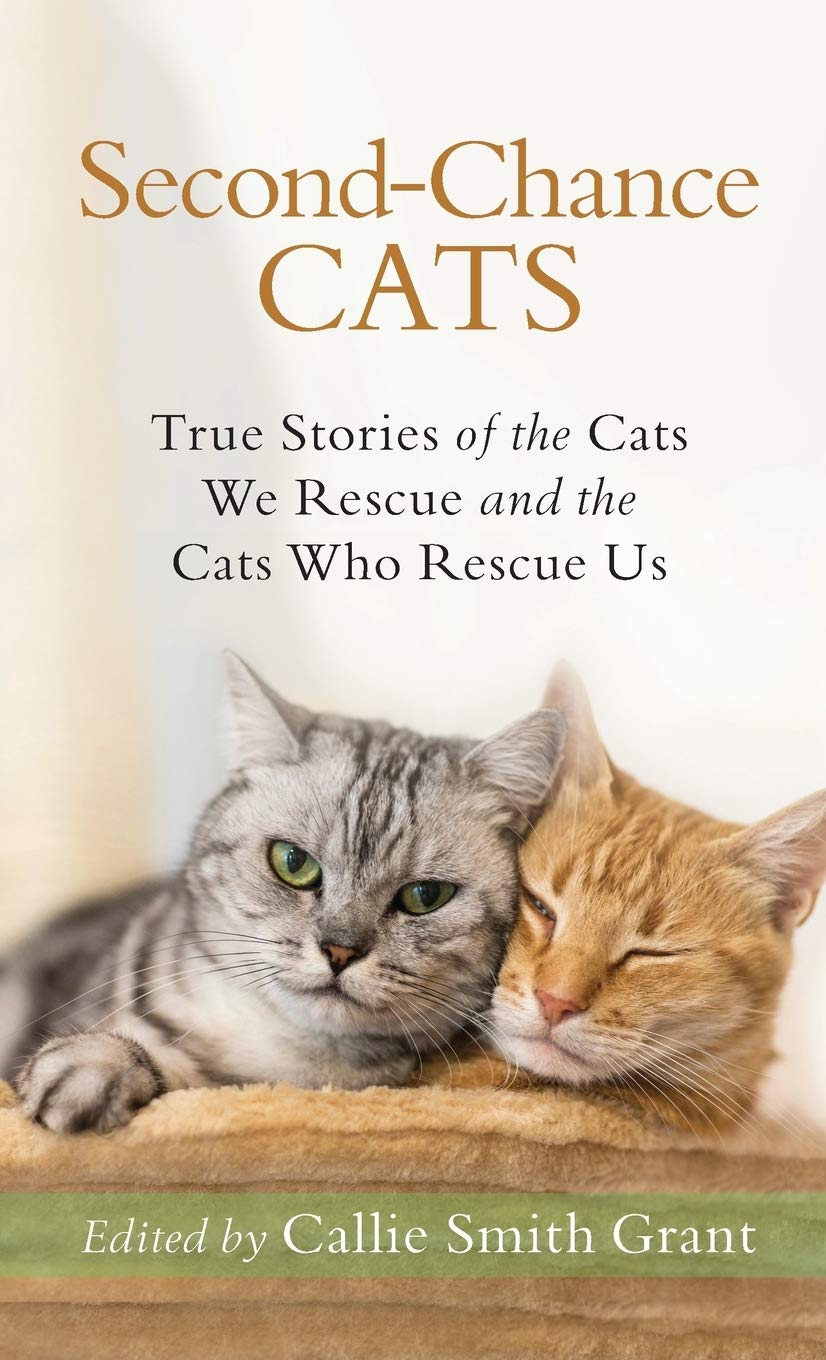 Second-chance Cats: True Stories of the Cats We Rescue and the Cats Who Rescue Us Pets