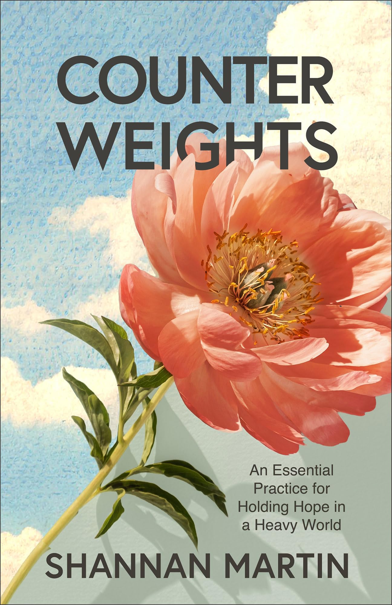 Counterweights: An Essential Practice for Holding Hope in a Heavy World Lifestyle