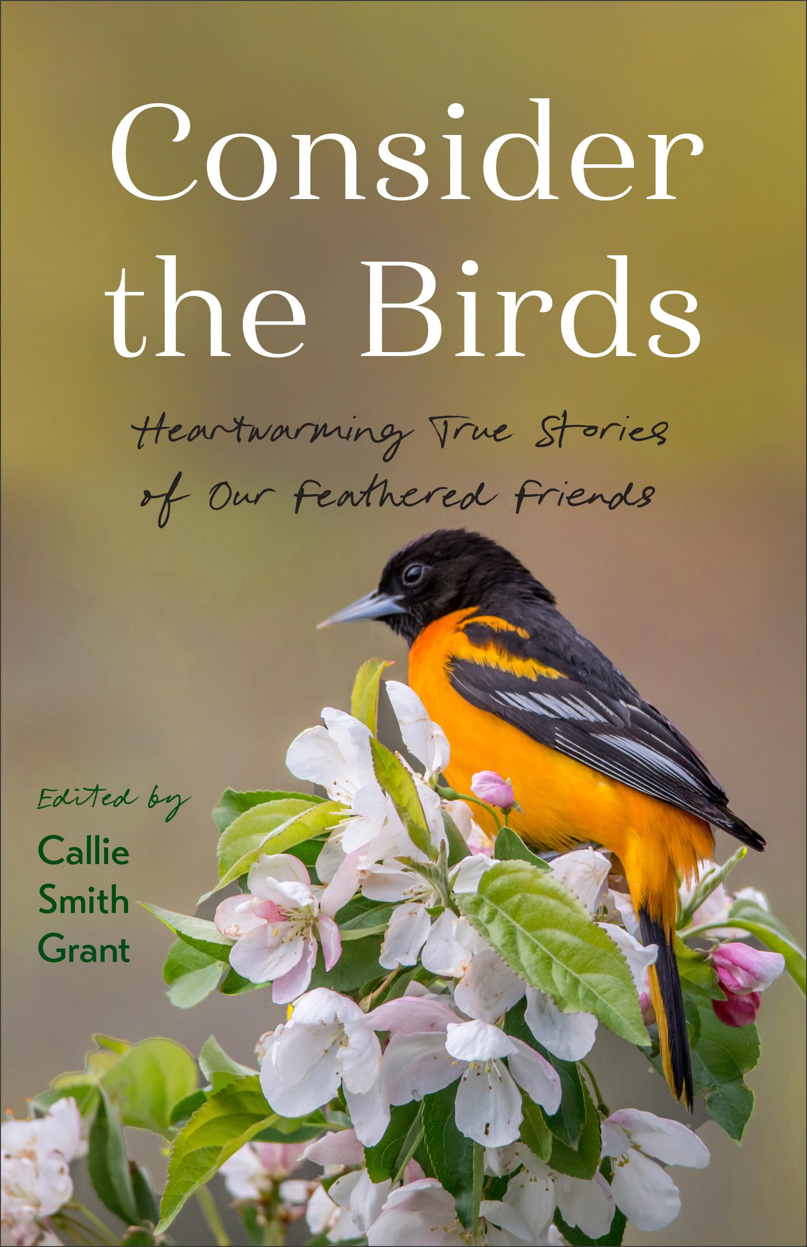Consider the Birds: Heartwarming True Stories of Our Feathered Friends Mathematics