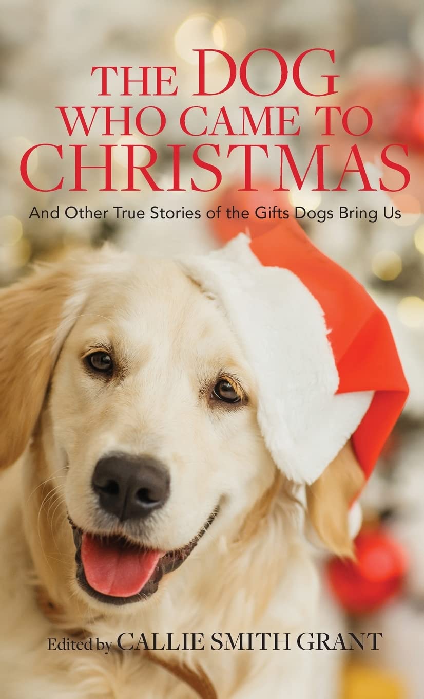 The Dog Who Came to Christmas: And Other True Stories of the Gifts Dogs Bring Us Pets