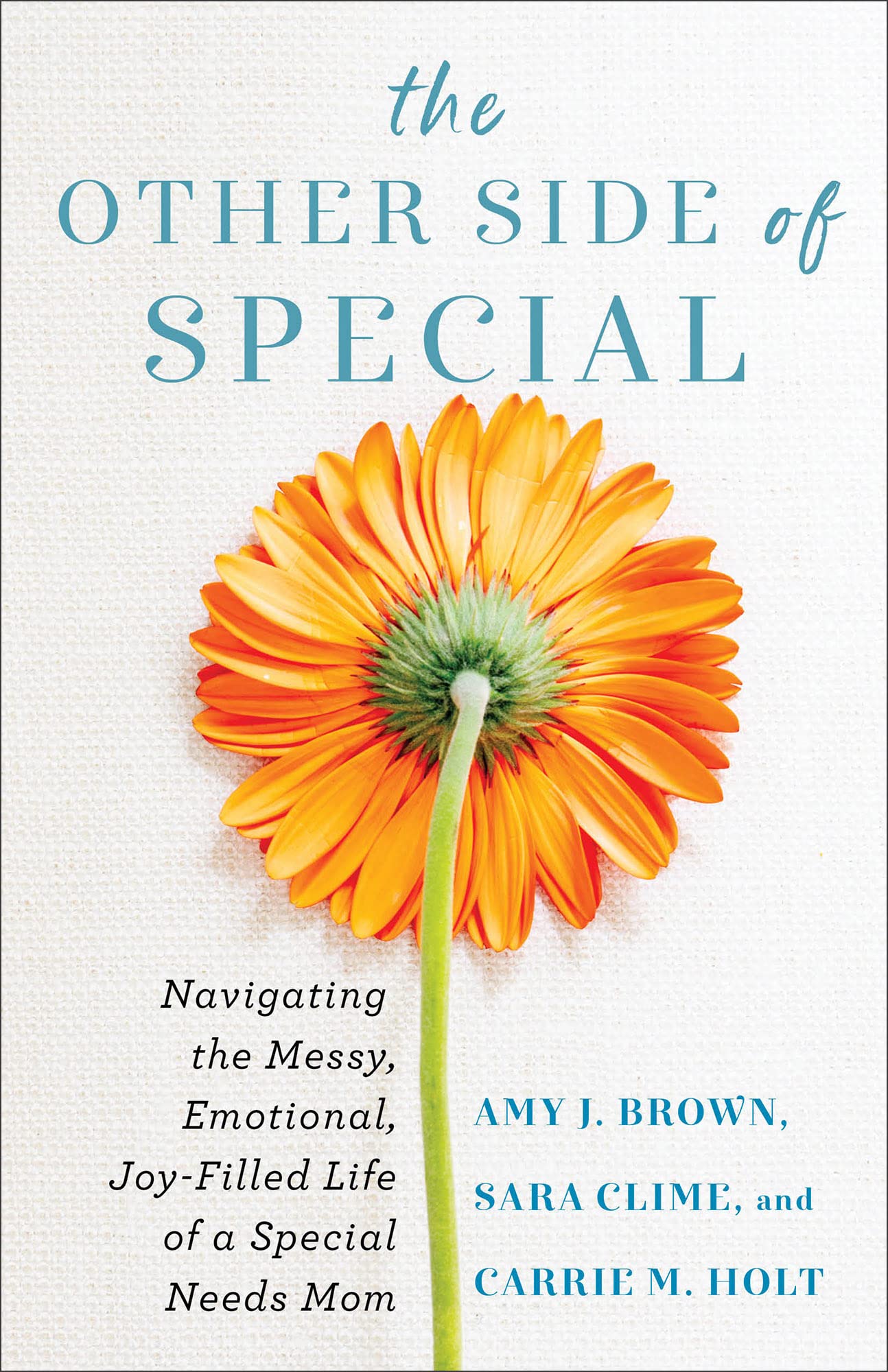 The Other Side of Special Social Sciences