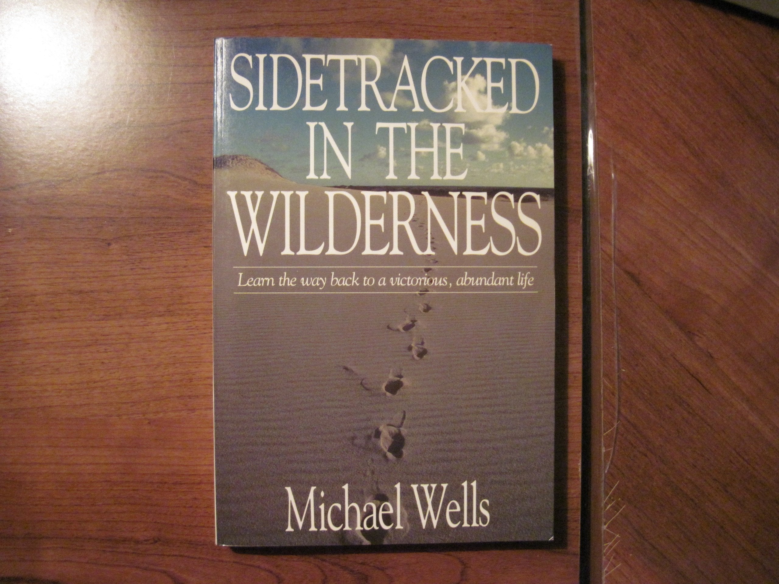 Product Image: Sidetracked in the Wilderness