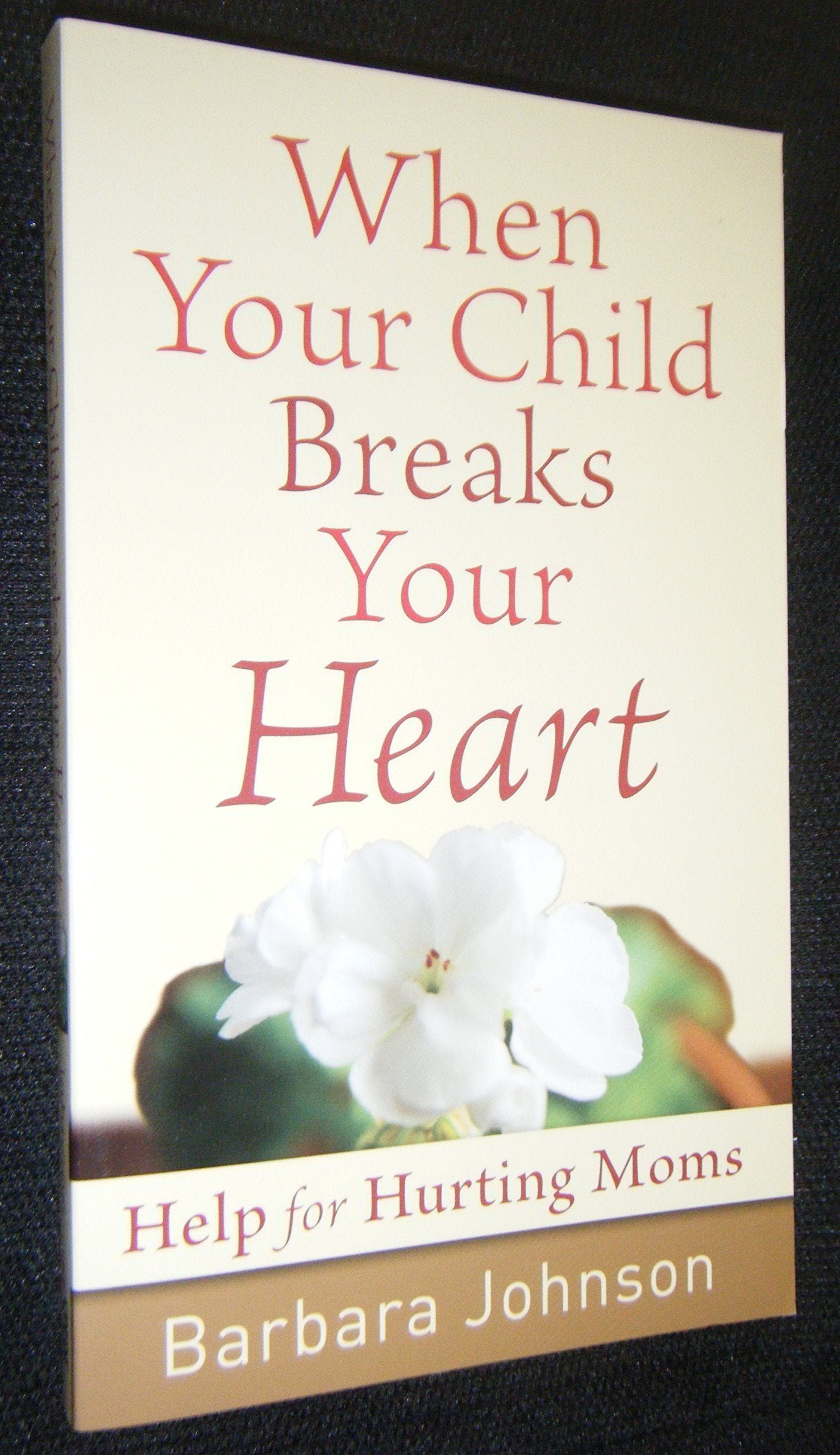 When Your Child Breaks Your Heart: Help for Hurting Moms Parents & Children