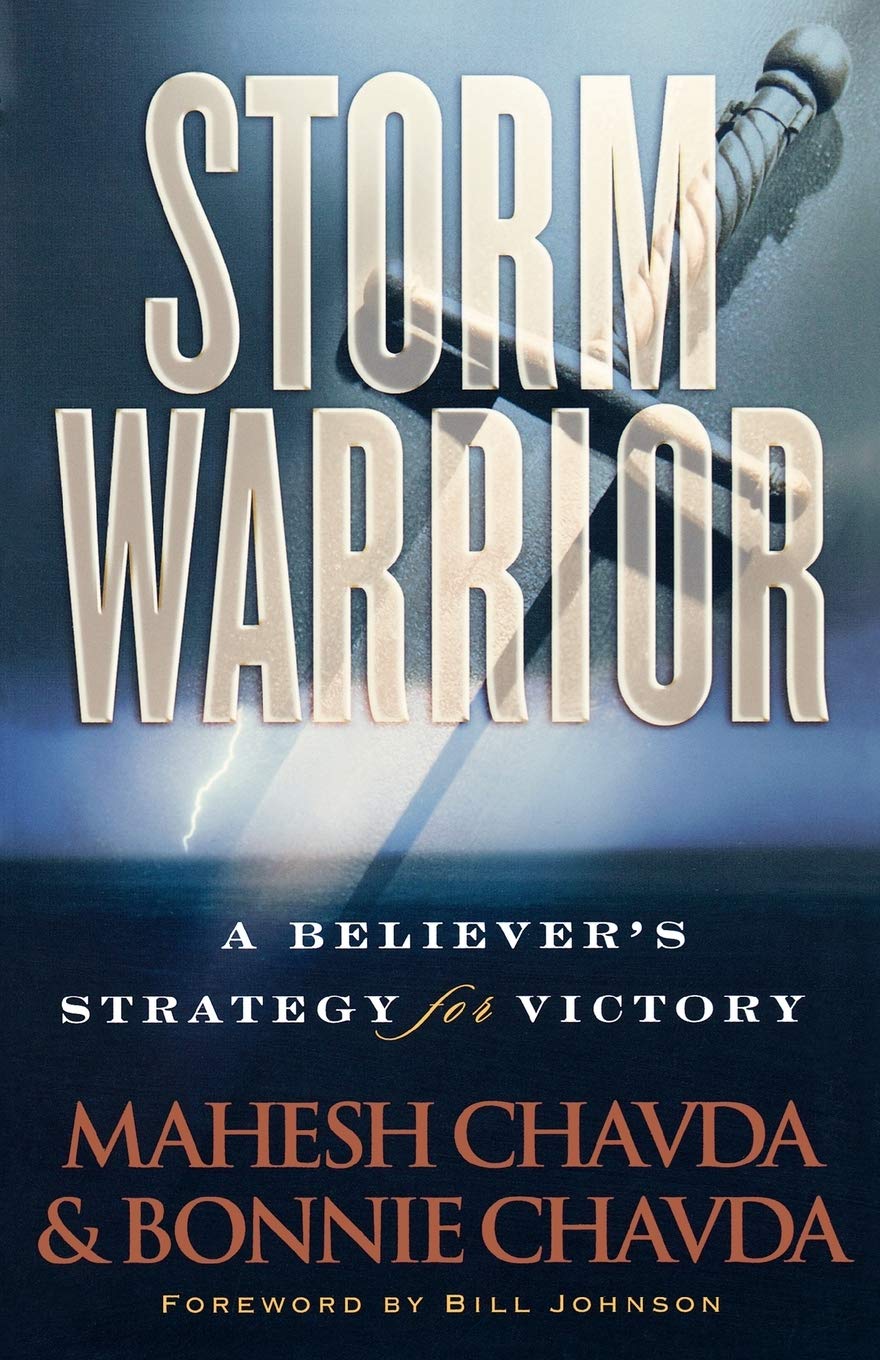 Storm Warrior: A Believer's Strategy For Victory Social Sciences