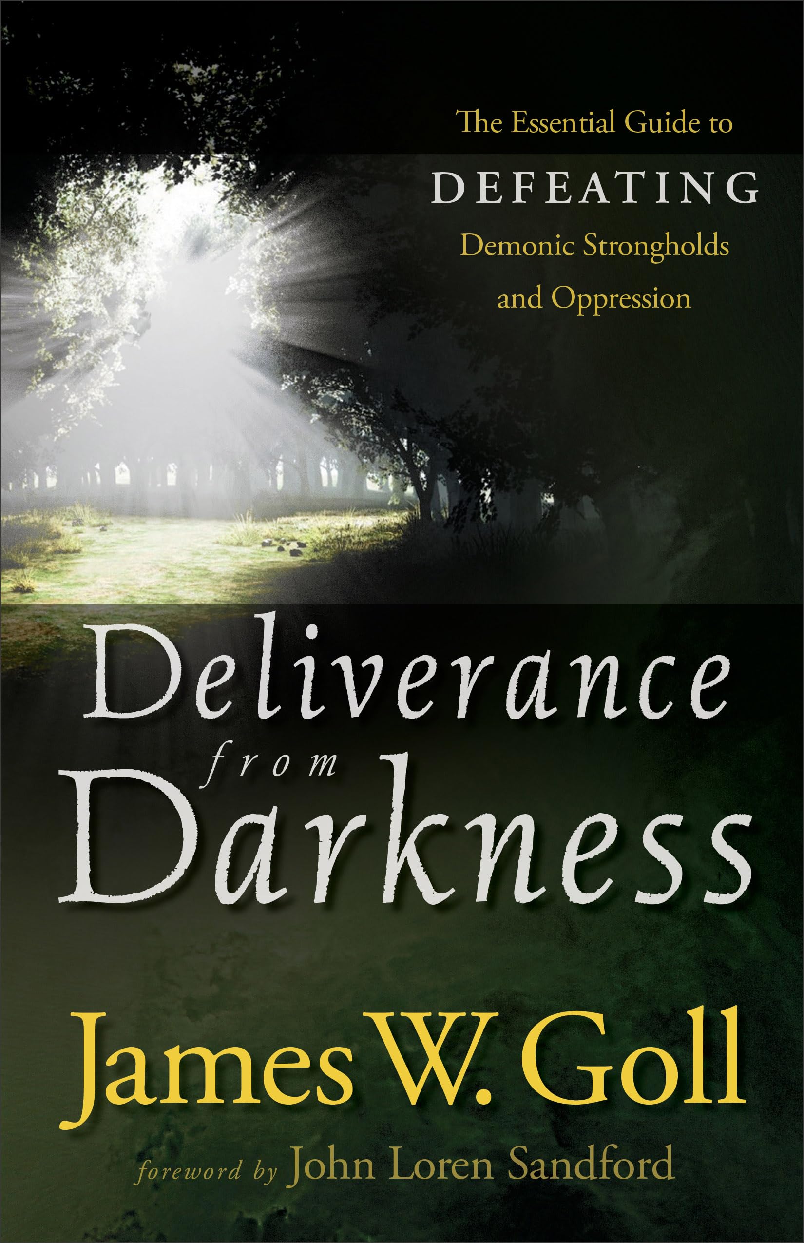 Deliverance from Darkness: The Essential Guide To Defeating Demonic Strongholds And Oppression Social Sciences