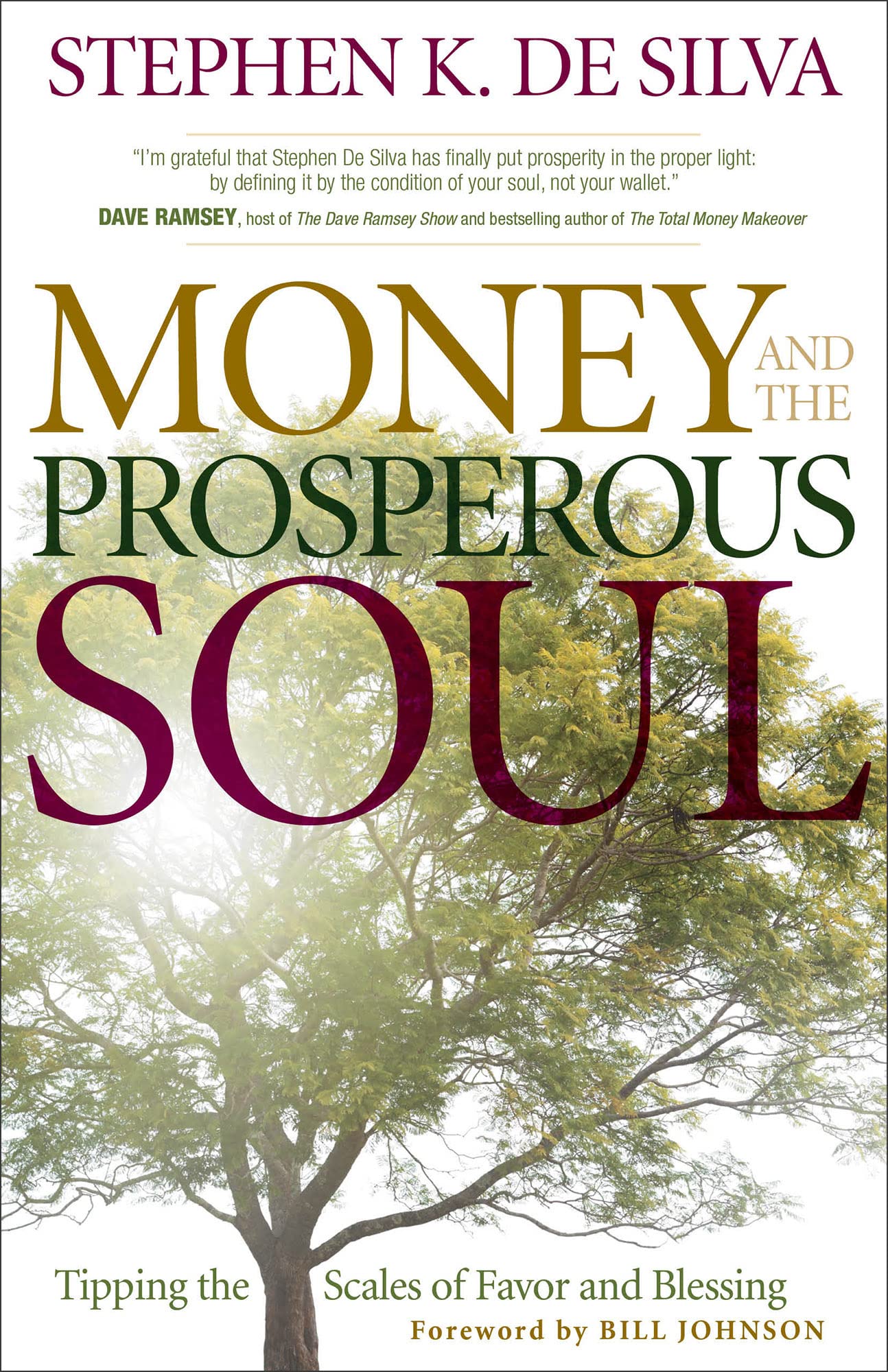 Money and the Prosperous Soul Social Sciences