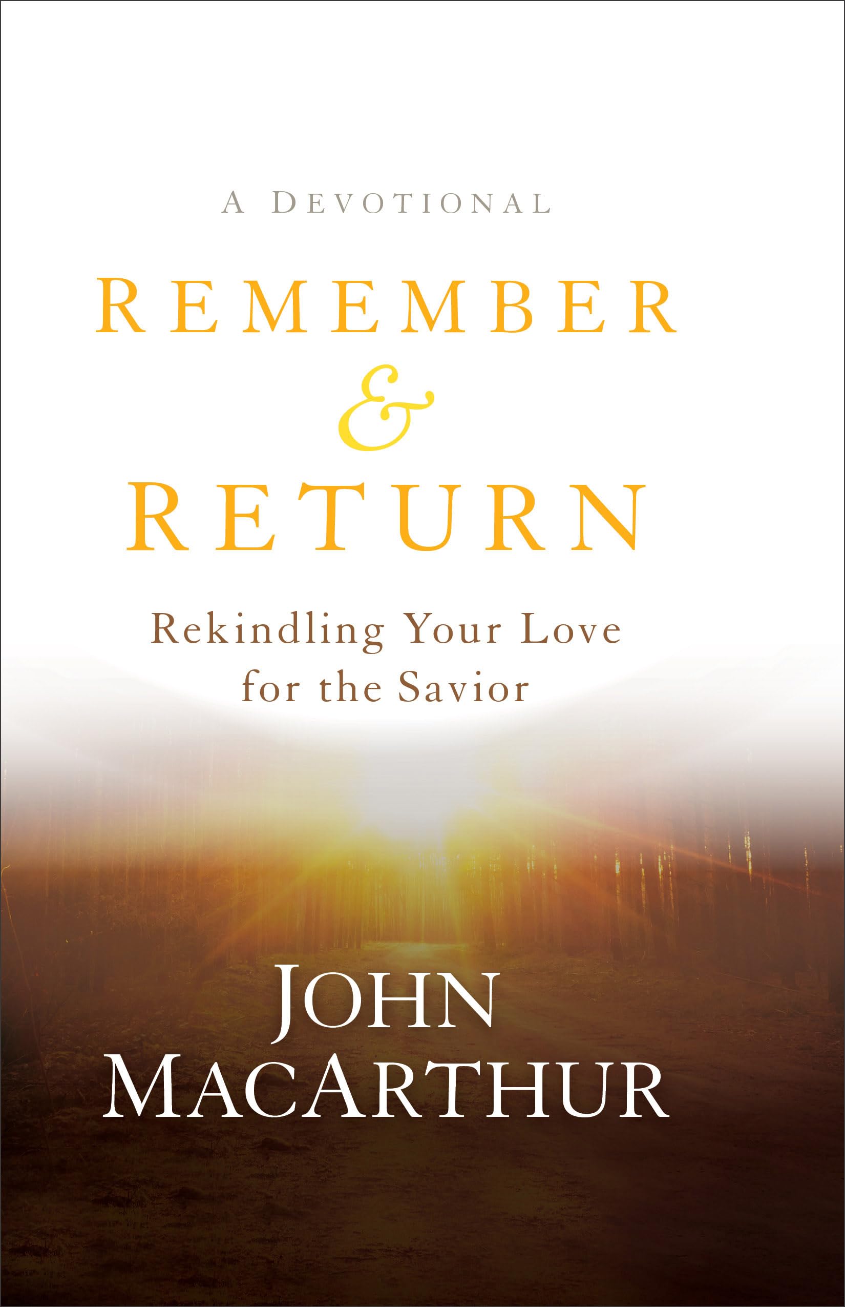 Remember and Return Second-hand books on film, art and culture