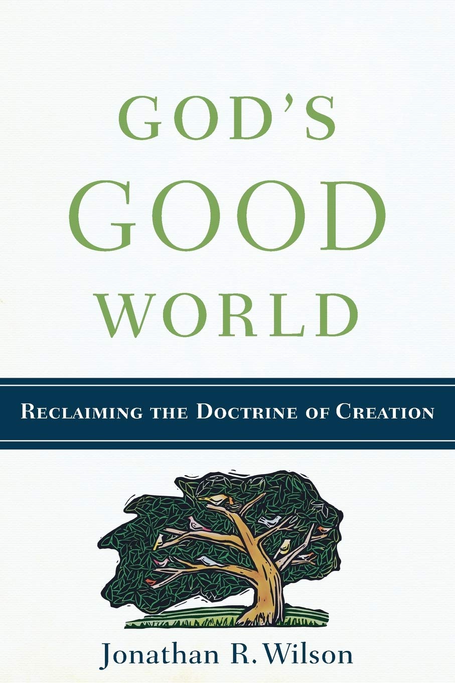 God's Good World: Reclaiming the Doctrine of Creation Social Sciences