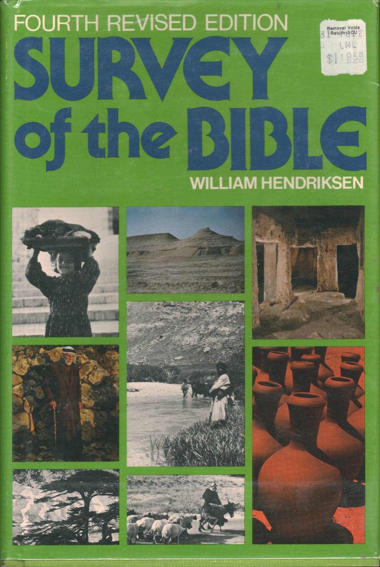 Survey of the Bible : A Treasury of Bible Informat Books