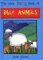 The New Kids Book of Bible Animals (New Kids Junior Reference Series) Religion & Esotericism