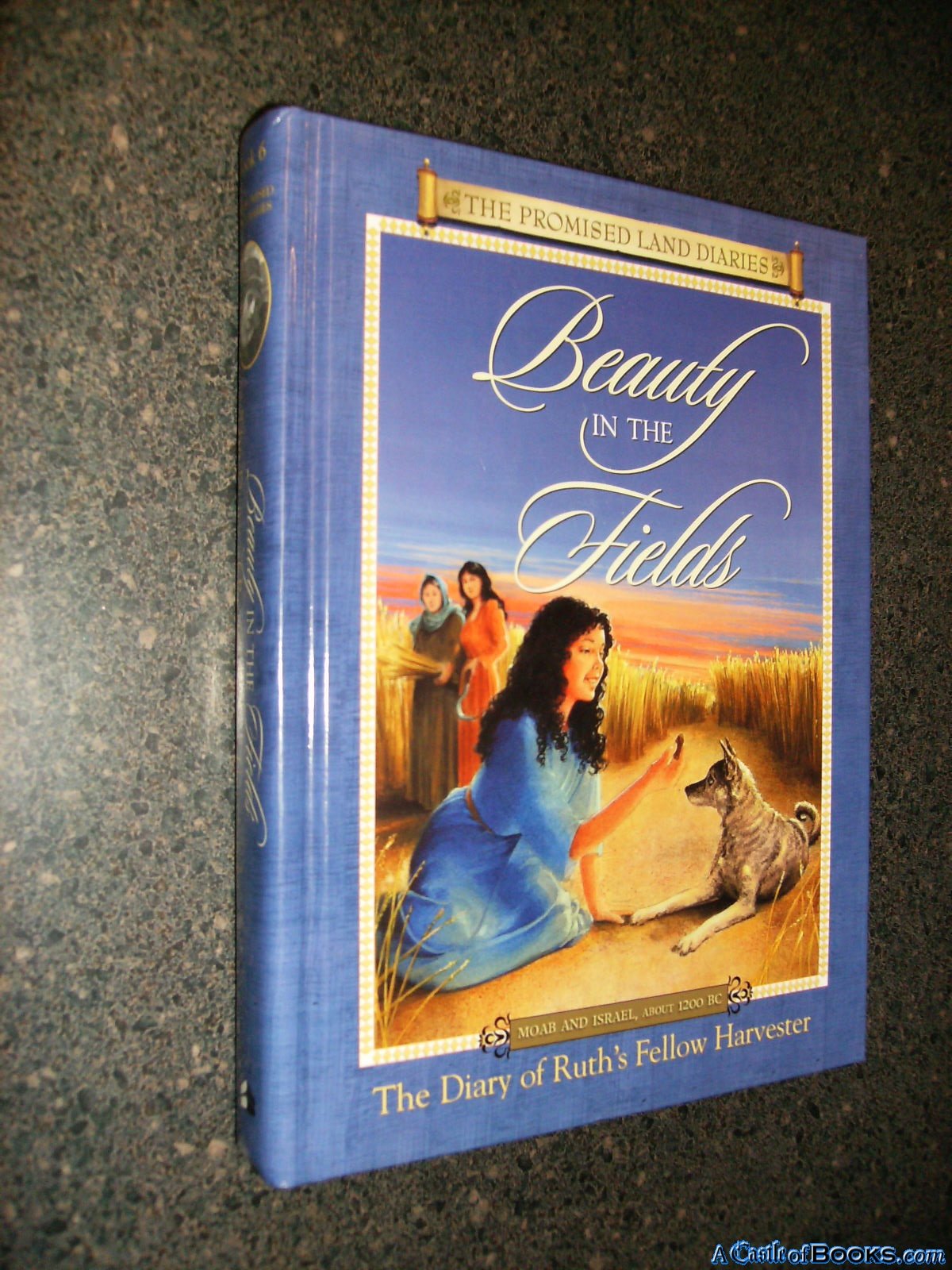 Beauty In The Fields: The Diary Of Ruth's Fellow Harvester, Moab And Israel, About 1200 B.C. (Promised Land Diaries, 6, Band 6) Novels & Short Stories