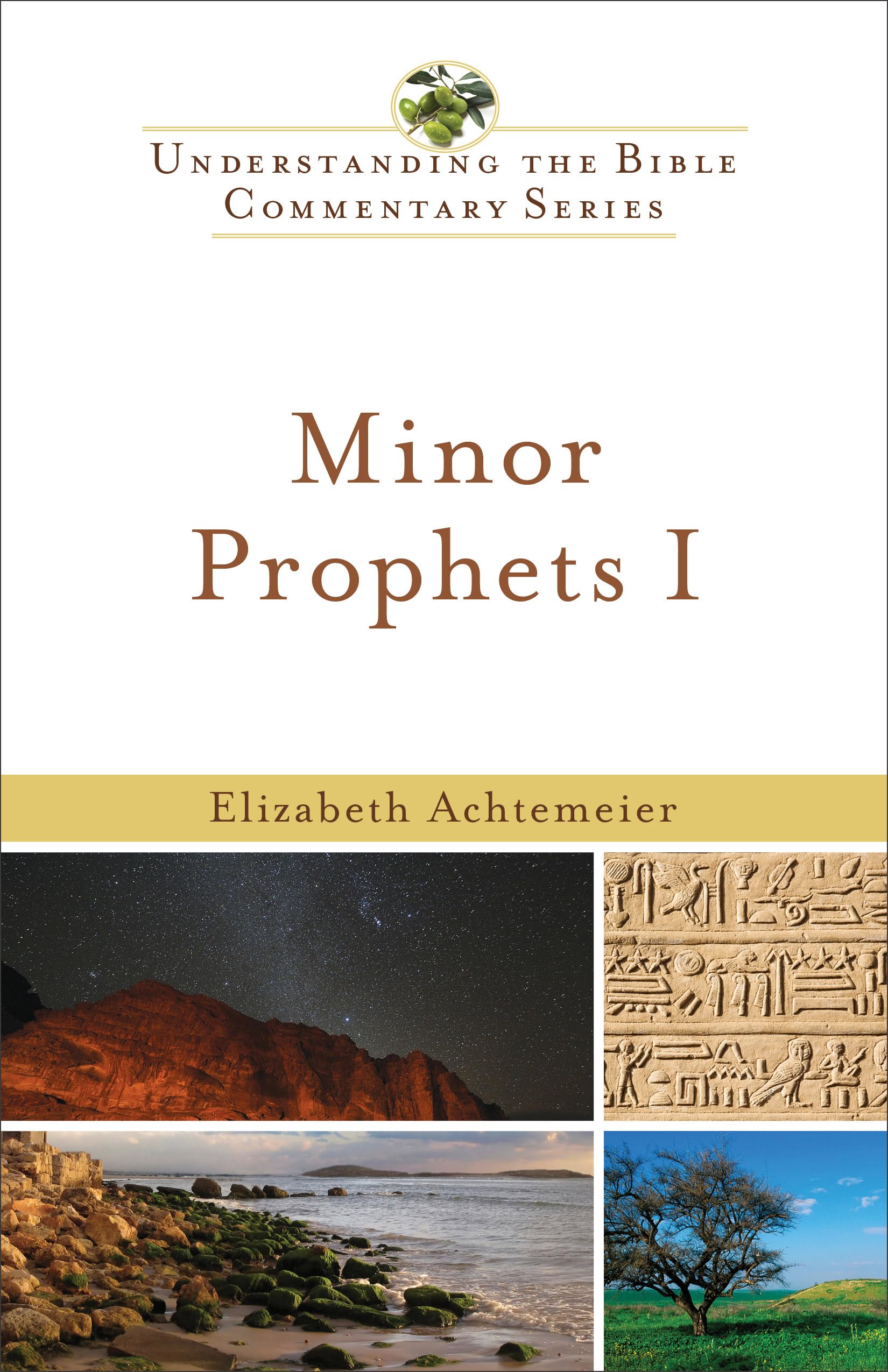 Minor Prophets I (New International Biblical Commentary - Old Testament Series, 17, Band 17) Social Sciences