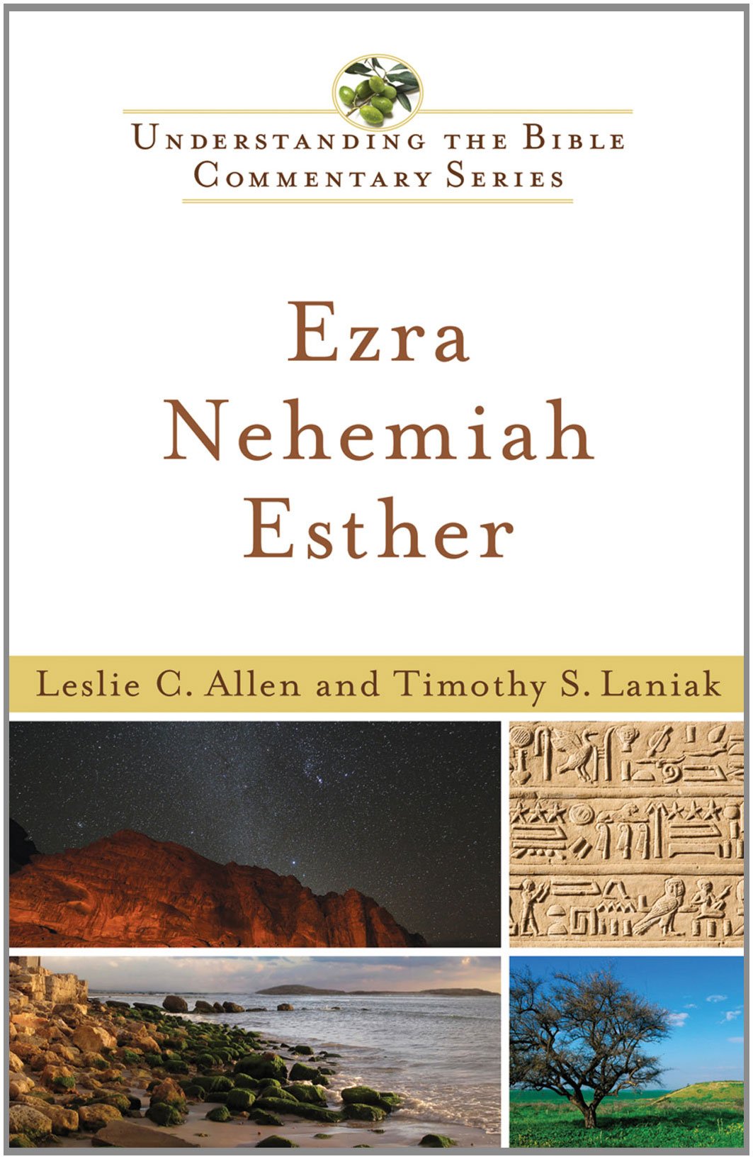 Ezra, Nehemiah, Esther (New International Biblical Commentary: Old Testament, 9, Band 9) Religion & Esotericism